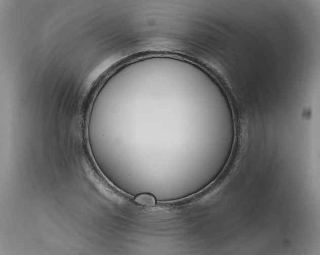 X0000110691114200906261337