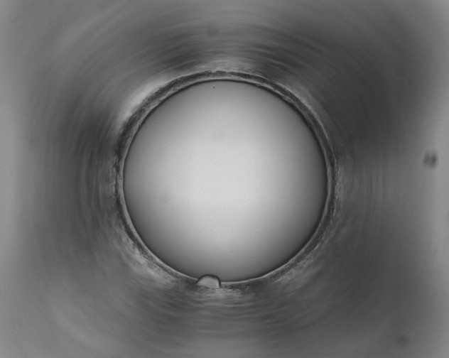 X0000110691115200906261337