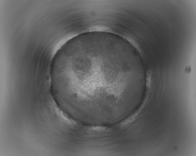 X0000110691117200906261337