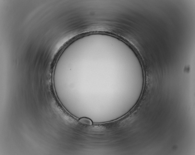 X0000110691119200906261337