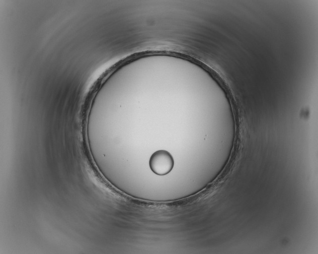 X0000110691120200906261337