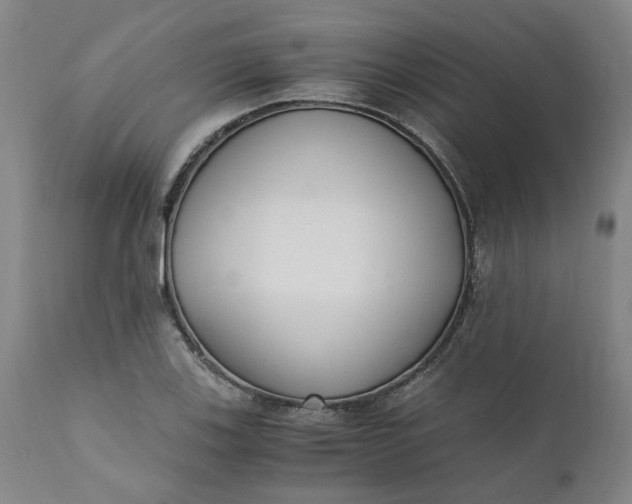 X0000110691123200906261337