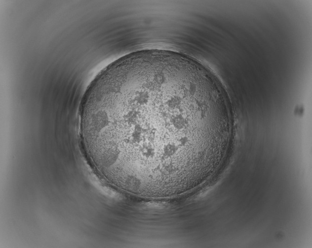 X0000110691125200906261338