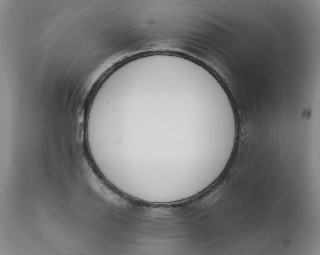 X0000110691126200906261338