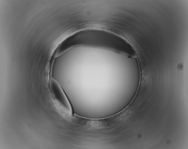 X0000110691128200906261338