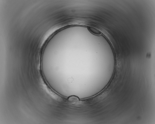 X0000110691131200906261338