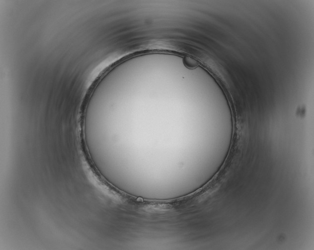 X0000110691133200906261338