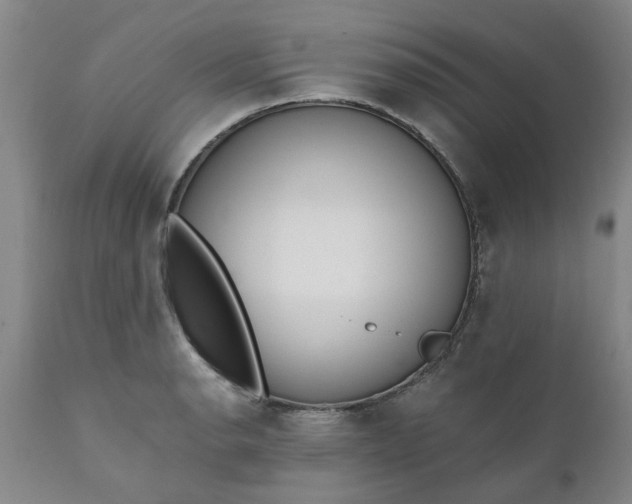 X0000110691134200906261338