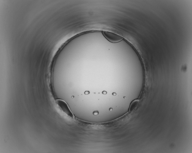 X0000110691136200906261338