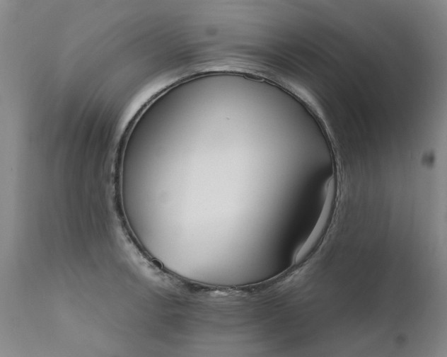 X0000110691138200906261338