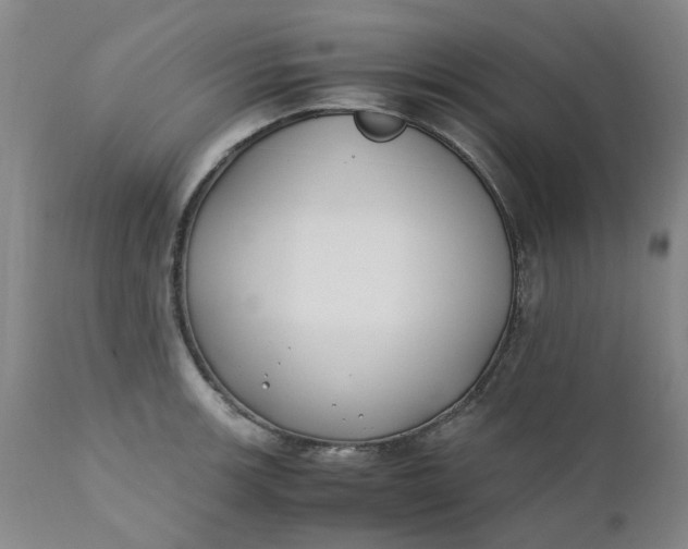 X0000110691139200906261338