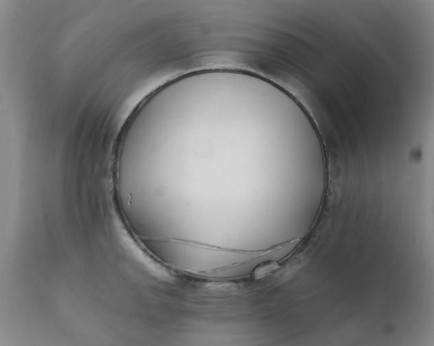 X0000110691142200906261338