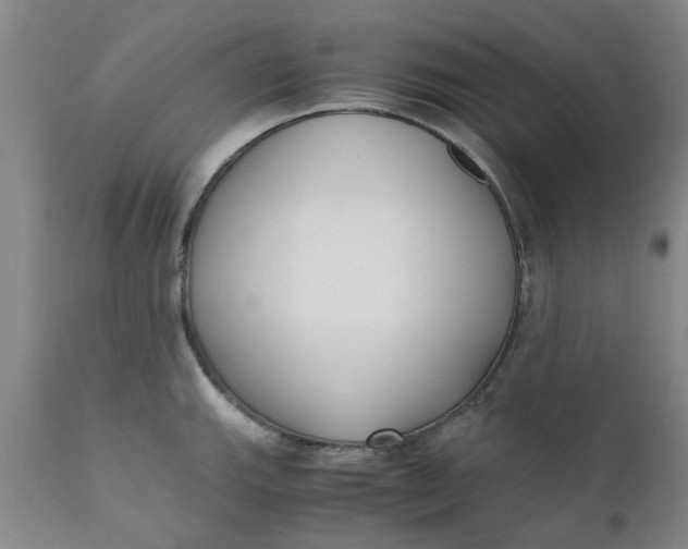 X0000110691143200906261338