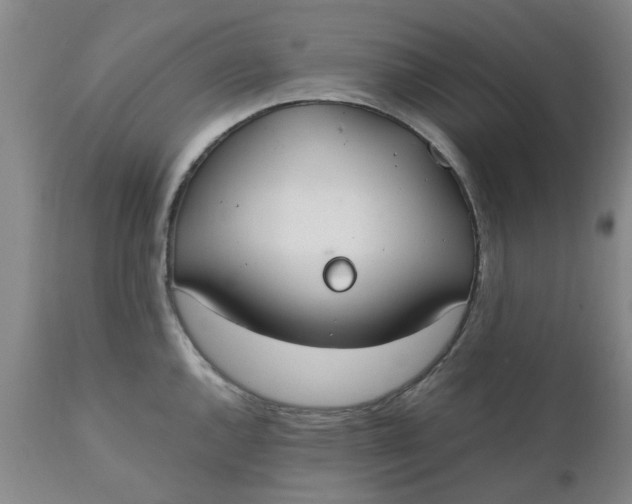 X0000110691144200906261338