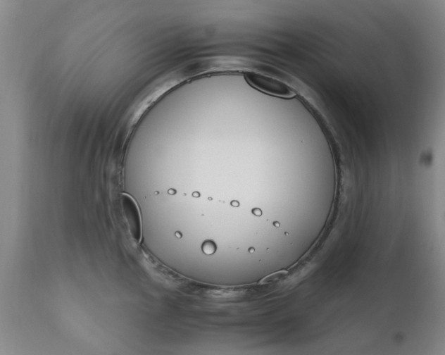 X0000110691145200906261338