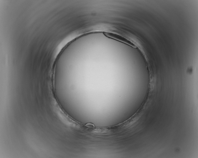 X0000110691146200906261338