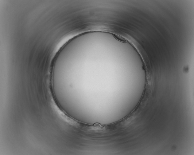 X0000110691147200906261338