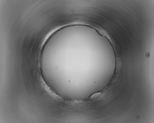 X0000110691148200906261338