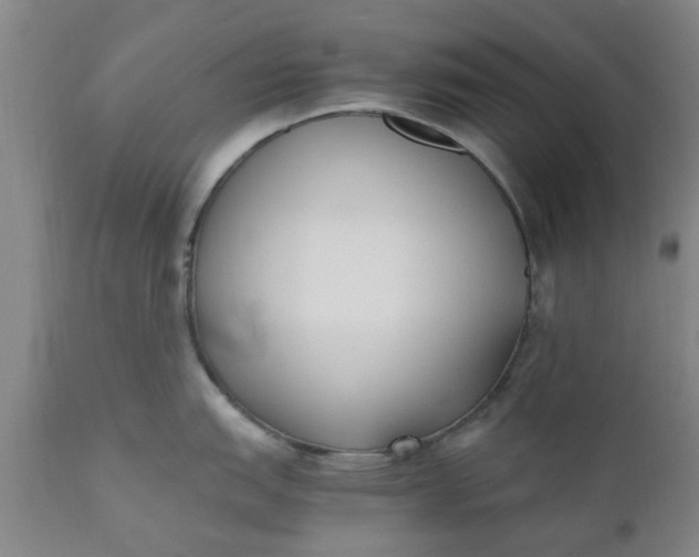 X0000110691151200906261338