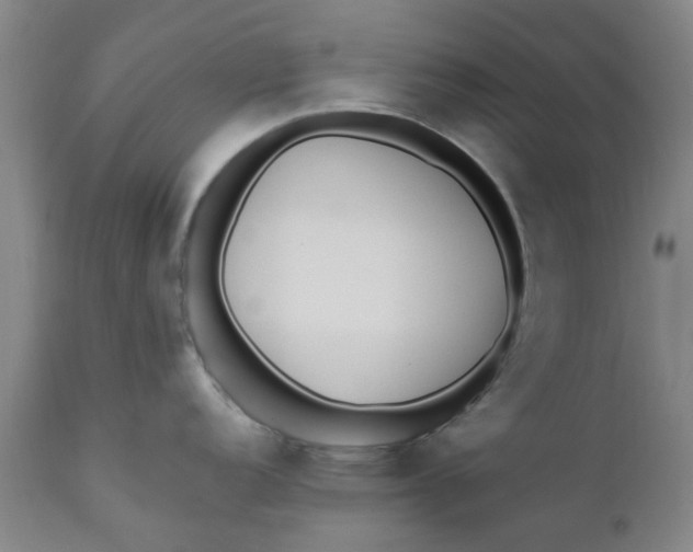 X0000110691152200906261338