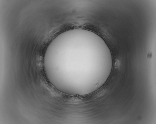 X0000110691156200906261337