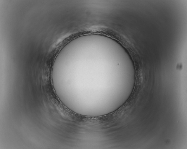 X0000110691158200906261337