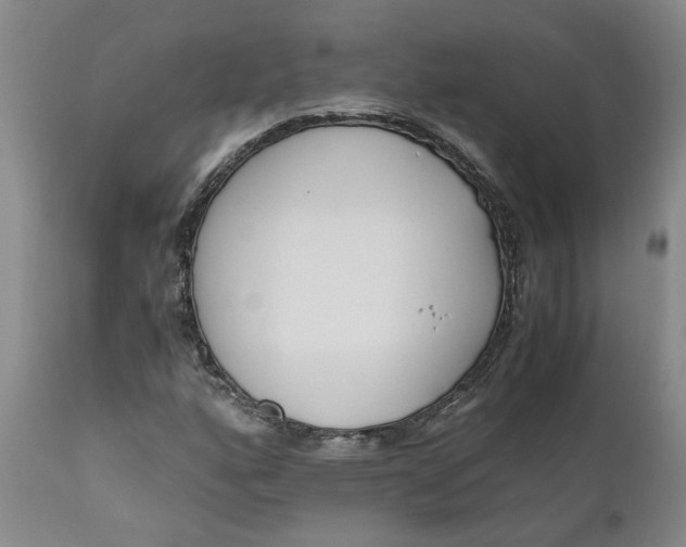 X0000110691160200906261337