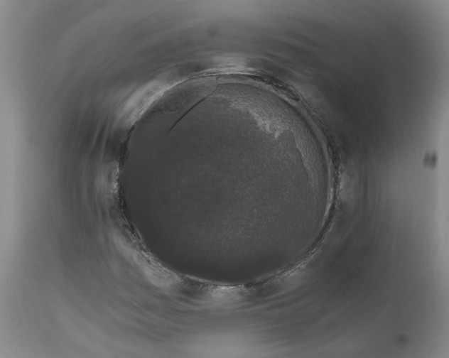 X0000110691161200906261337