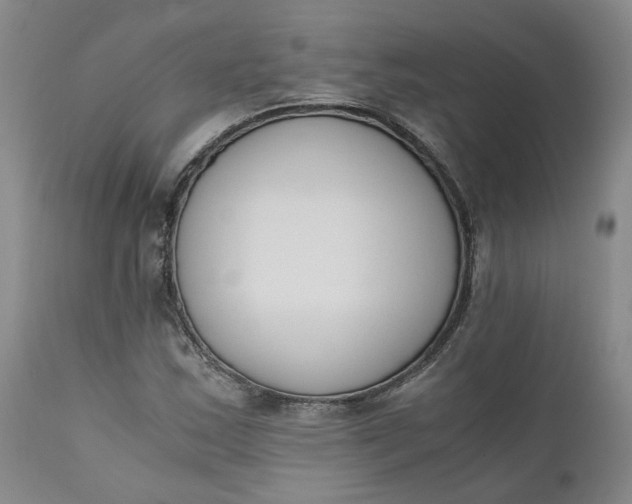 X0000110691163200906261337