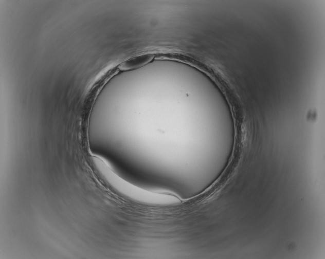 X0000110691165200906261337