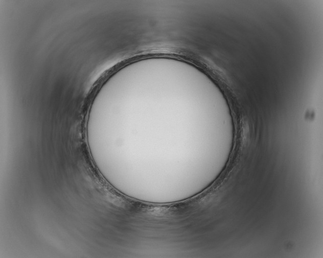 X0000110691166200906261337