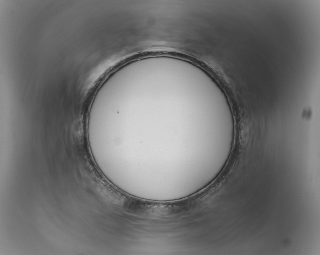 X0000110691167200906261337