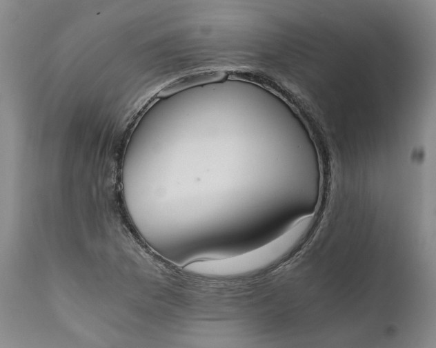 X0000110691169200906261337