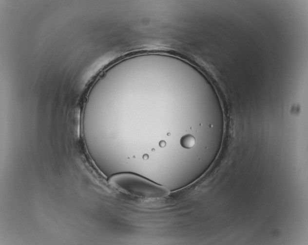 X0000110691171200906261337