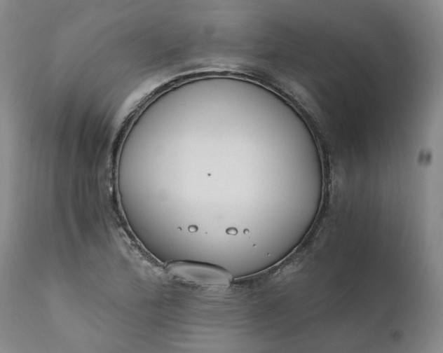 X0000110691172200906261337