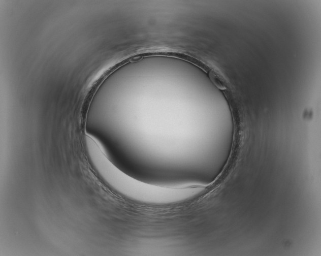 X0000110691173200906261337