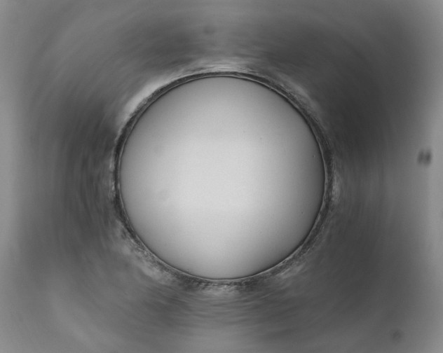 X0000110691174200906261337