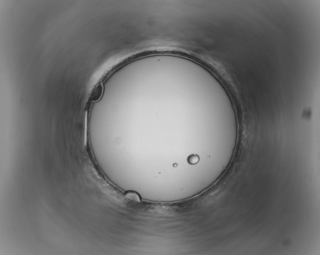 X0000110691175200906261337