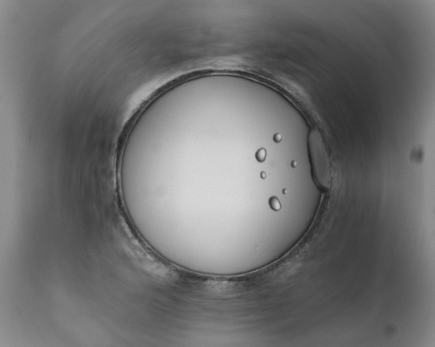 X0000110691176200906261337