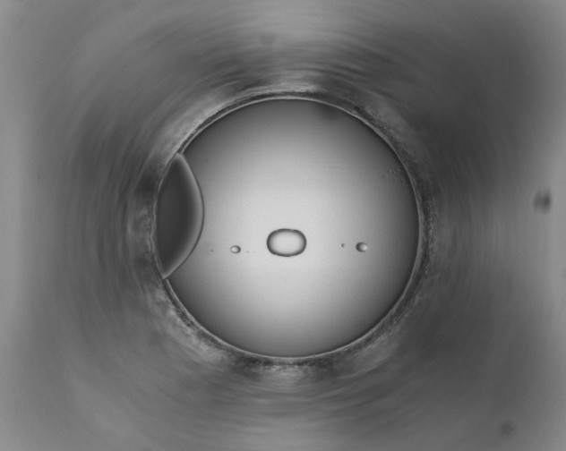 X0000110691177200906261337