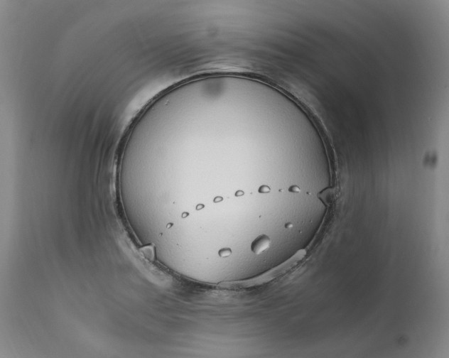 X0000110691179200906261337