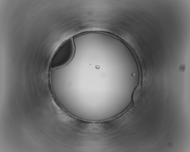 X0000110691181200906261337