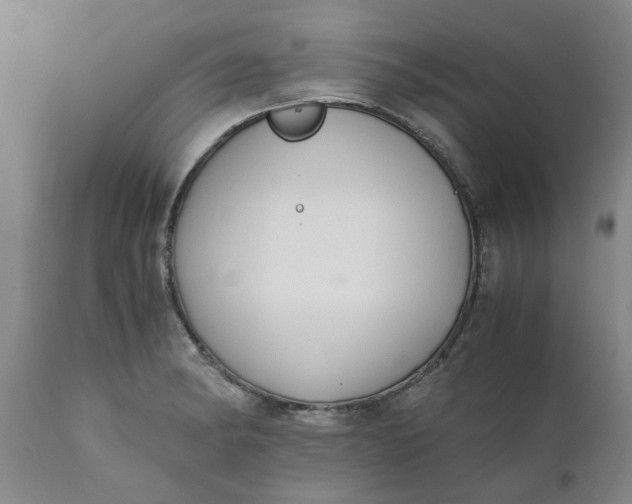 X0000110691182200906261337