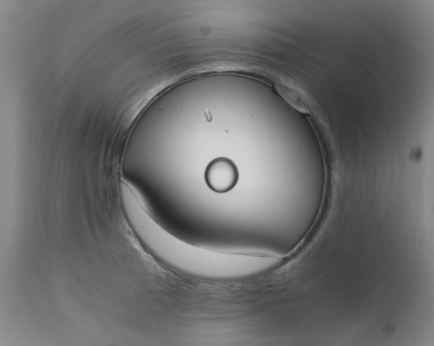 X0000110691185200906261337