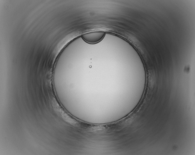 X0000110691186200906261337