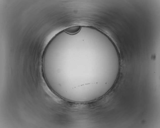 X0000110691187200906261337