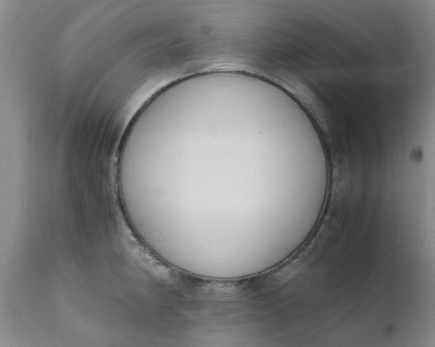 X0000110691190200906261337