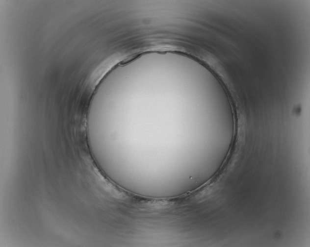 X0000110691193200906261337