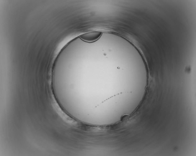 X0000110691195200906261337