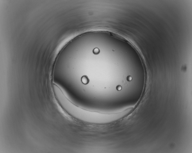 X0000110691197200906261337